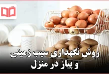 روش نگهداری سیب زمینی و پیاز در منزل