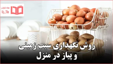 روش نگهداری سیب زمینی و پیاز در منزل
