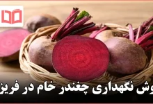 روش نگهداری چغندر خام در فریزر