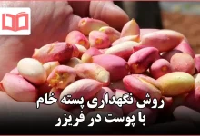 روش نگهداری پسته خام با پوست در فریزر