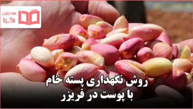 روش نگهداری پسته خام با پوست در فریزر