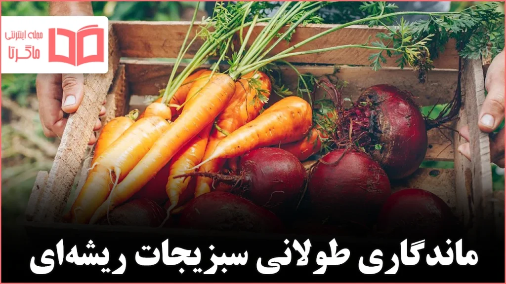 چگونه سبزیجات ریشهای را در زمستان نگهداری کنیم