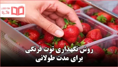روش نگهداری توت فرنگی برای مدت طولانی