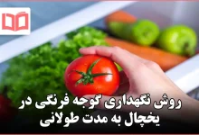 روش نگهداری گوجه فرنگی در یخچال به مدت طولانی