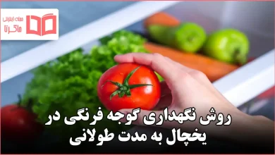 روش نگهداری گوجه فرنگی در یخچال به مدت طولانی