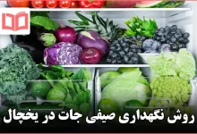 روش نگهداری صیفی جات در یخچال