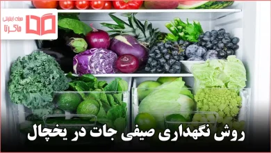 روش نگهداری صیفی جات در یخچال