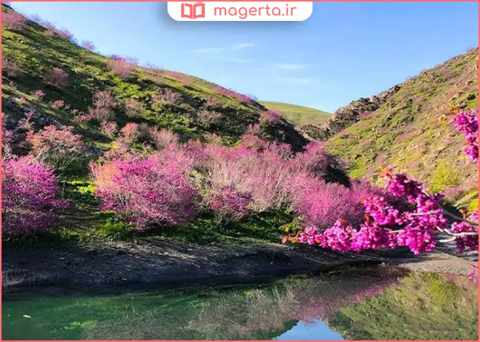 حصار گلستان