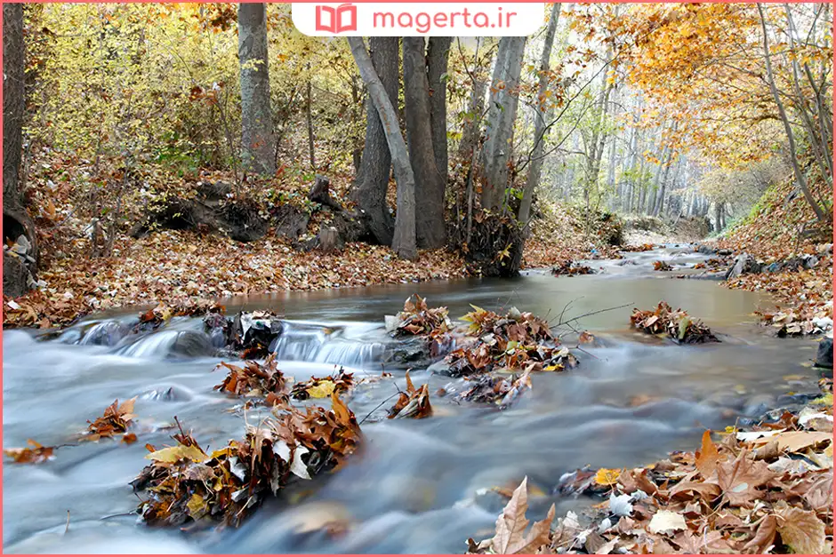 منطقه اردمه