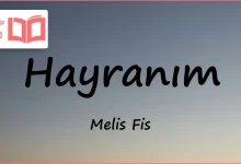 متن و ترجمه آهنگ Hayranım از Melis Fis