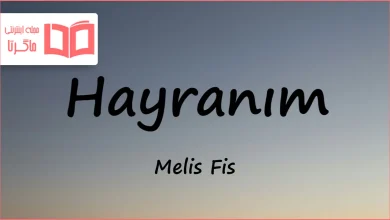 متن و ترجمه آهنگ Hayranım از Melis Fis