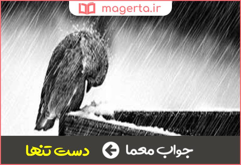 جواب معما بی یاور در جدول