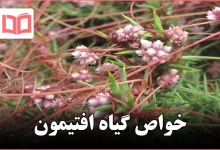 خواص گیاه افتیمون