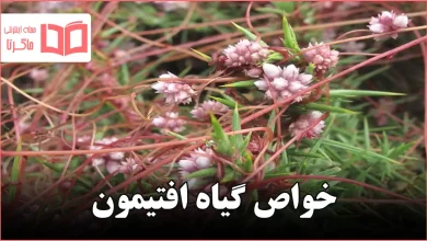 خواص گیاه افتیمون