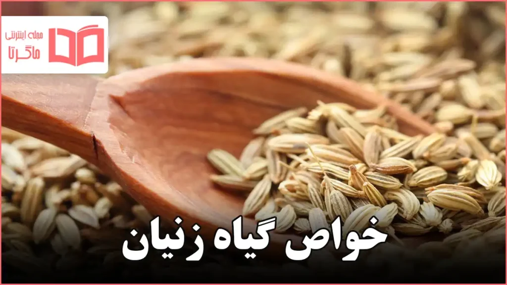 خواص گیاه زنیان