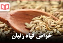 خواص گیاه زنیان