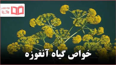 خواص گیاه آنغوزه
