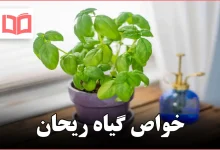 خواص گیاه ریحان