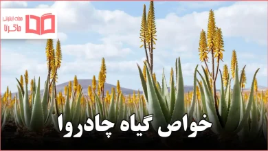 خواص گیاه چادروا