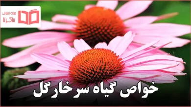 خواص گیاه سرخارگل