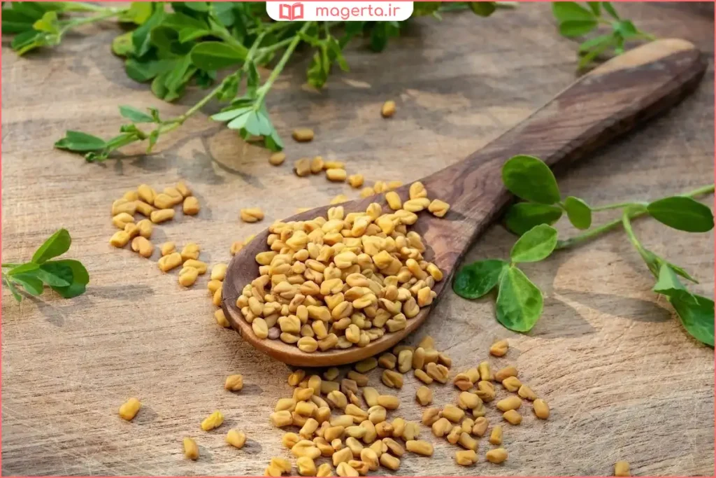 گل‌های زرد کوچک گیاه شنبلیله در فصل بهار