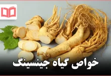 خواص گیاه جینسینگ