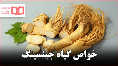 خواص گیاه جینسینگ