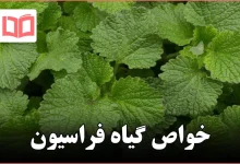 خواص گیاه فراسیون
