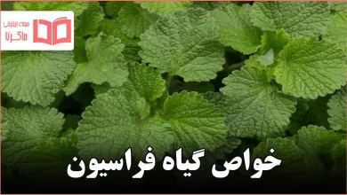 خواص گیاه فراسیون