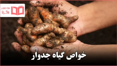 خواص گیاه جدوار