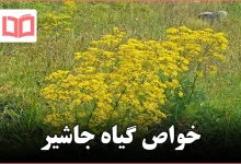 خواص گیاه جاشیر