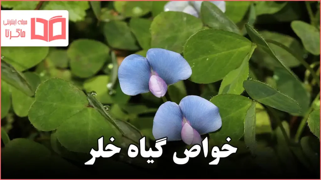 خواص گیاه خلر