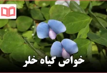 خواص گیاه خلر