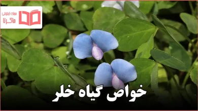 خواص گیاه خلر
