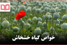 خواص گیاه خشخاش