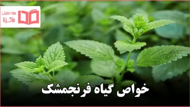 خواص گیاه فرنجمشک