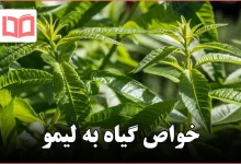 خواص گیاه به لیمو
