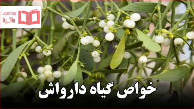 خواص گیاه دارواش