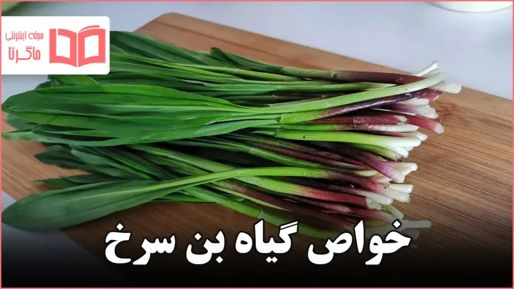 خواص گیاه بن سرخ