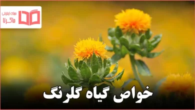 خواص گیاه گلرنگ