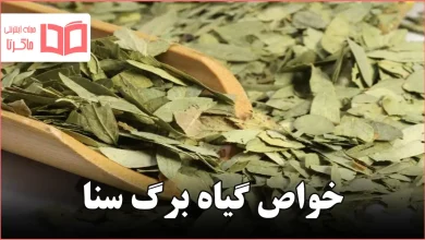 خواص گیاه برگ سنا