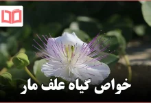 خواص گیاه علف مار