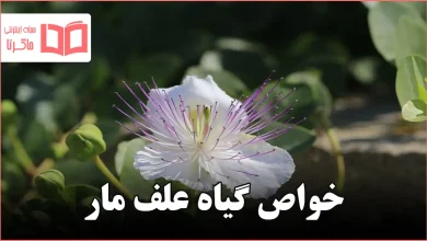 خواص گیاه علف مار