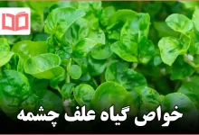 خواص گیاه علف چشمه