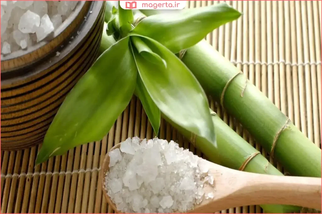 گیاه تباشیر رشدکرده در زمینهای گرمسیری با نور طبیعی خورشید