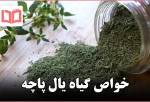 خواص گیاه یال پاچه