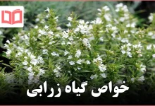 خواص گیاه زرابی