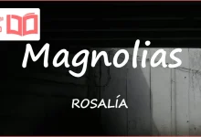 متن و ترجمه آهنگ Magnolias از ROSALÍA