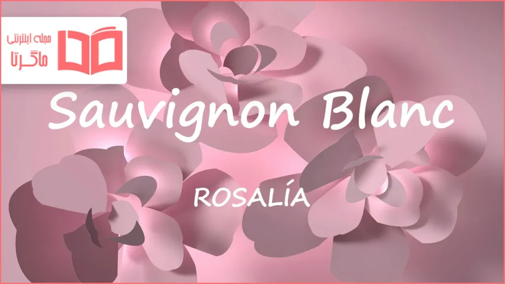 متن و ترجمه آهنگ Sauvignon Blanc از ROSALÍA