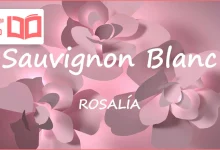 متن و ترجمه آهنگ Sauvignon Blanc از ROSALÍA